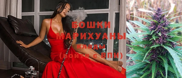 марки nbome Вяземский