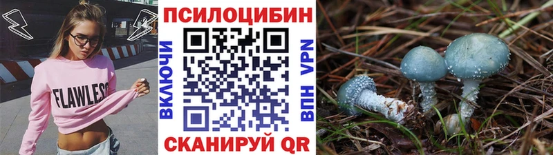 как найти Макарьев площадка Telegram Галлюциногенные грибы Magic Shrooms